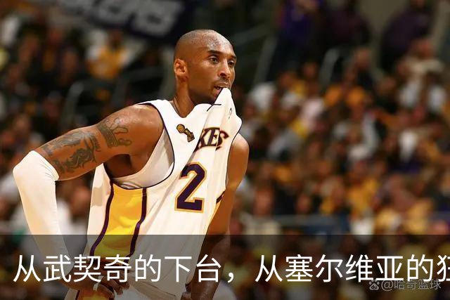 从武契奇的下台，从塞尔维亚的狂欢，来分析中国网友的眼界和素养
