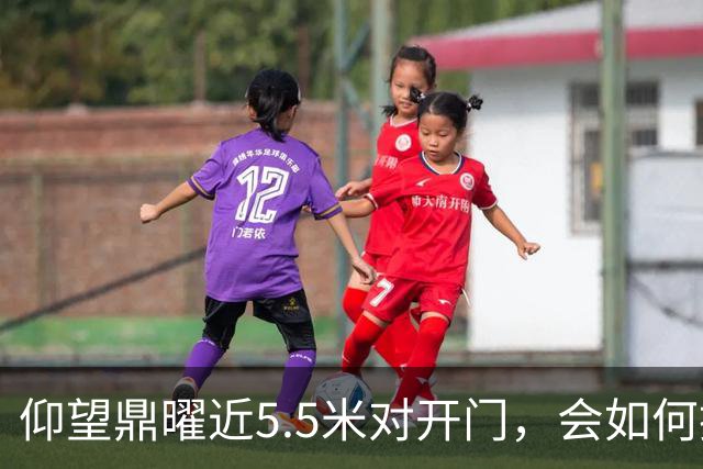 仰望鼎曜近5.5米对开门，会如何挤压迈巴赫、劳斯莱斯在华市场？