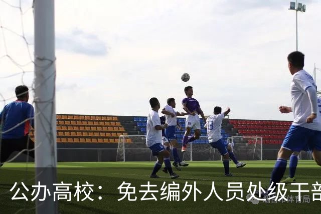 公办高校：免去编外人员处级干部职务