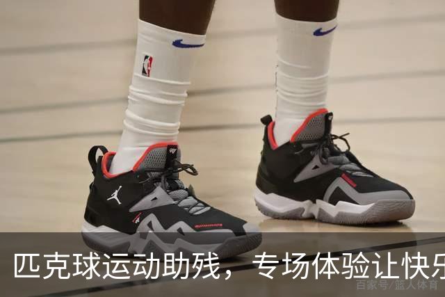匹克球运动助残，专场体验让快乐“动”起来