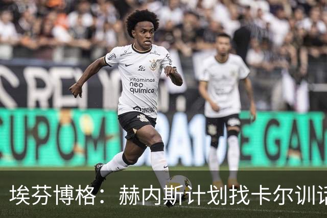 埃芬博格：赫内斯计划找卡尔训话是他的行事风格，后者得接受这点