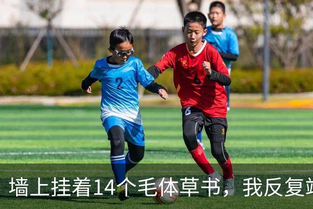 墙上挂着14个毛体草书，我反复端详仍有3个不敢确认！草书四周的留白，到底该按字形大小来定，还是另有讲究？