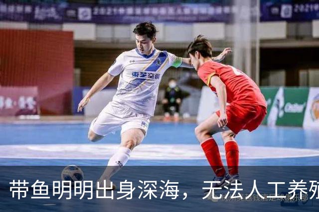带鱼明明出身深海，无法人工养殖，为什么成了便宜的平民海鲜？