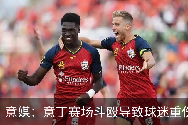 意媒：意丁赛场斗殴导致球迷重伤，11人被处5至10年观赛禁令