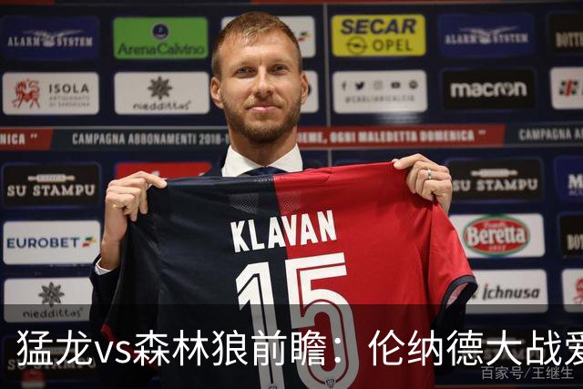 猛龙vs森林狼前瞻：伦纳德大战爱德华兹，一场不同风格的强硬对决