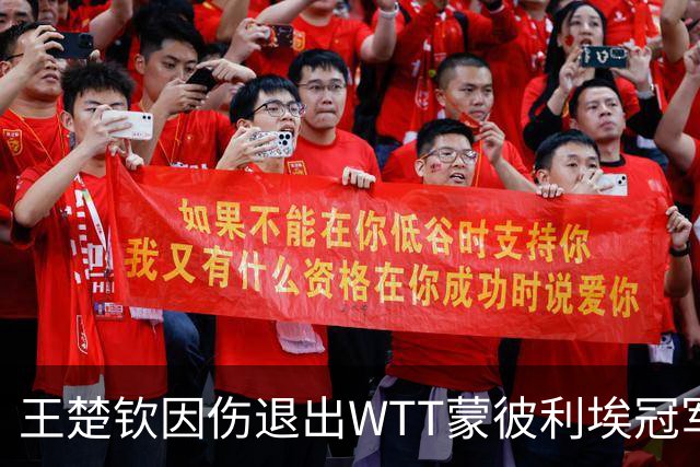 王楚钦因伤退出WTT蒙彼利埃冠军赛