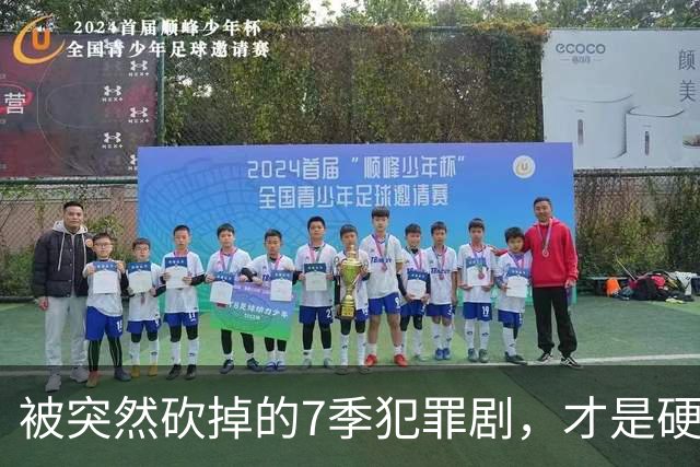 被突然砍掉的7季犯罪剧，才是硬汉剧该有的样子