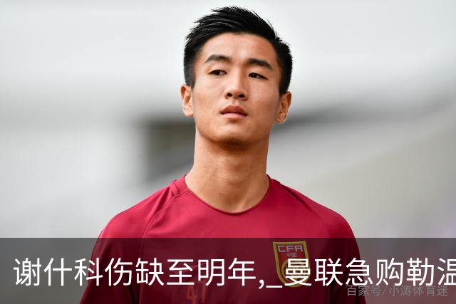 谢什科伤缺至明年, 曼联急购勒温补锋线