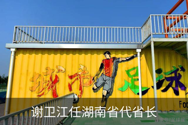 谢卫江任湖南省代省长