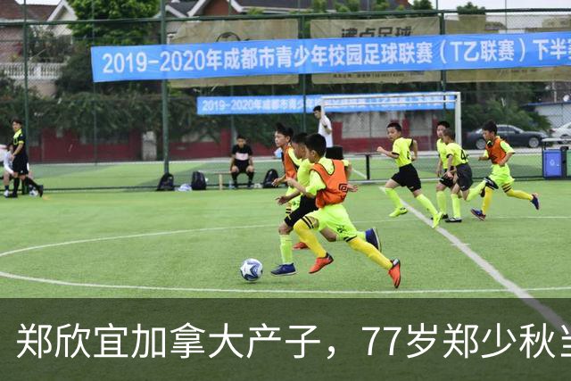 郑欣宜加拿大产子，77岁郑少秋当外公，沈殿霞终于安心了！