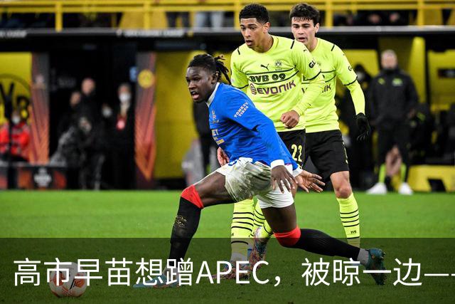 高市早苗想蹭APEC，被晾一边——这台阶修成滑梯还铺“鬼火”，滑不滑稽？