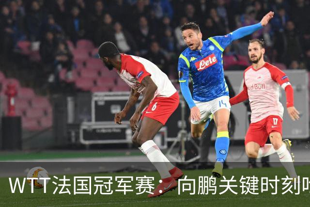 WTT法国冠军赛：向鹏关键时刻吃俩发球，2-3惜败不敌老将奥恰洛夫